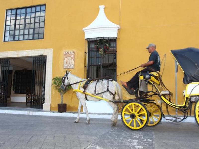 Cargando galería